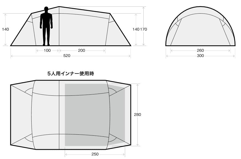 サバティカルギリアのサイズ