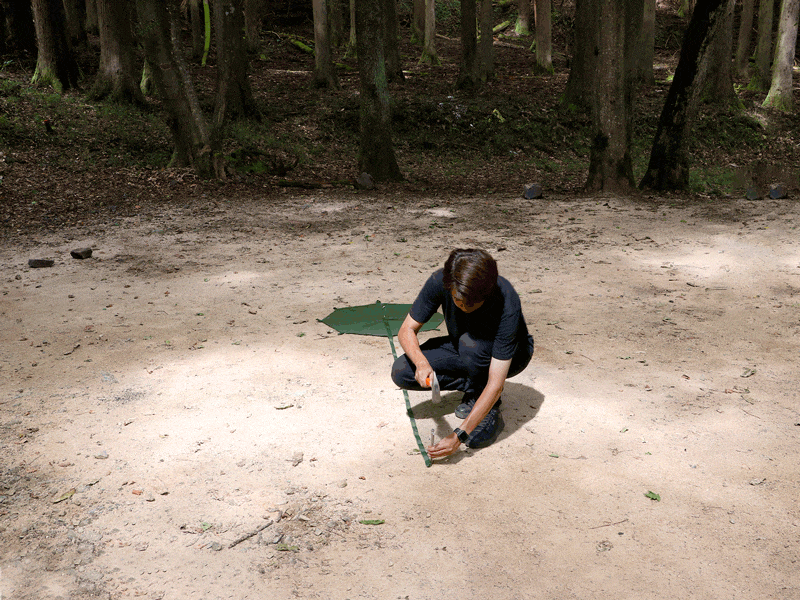 DODレンコンテント2Mの口コミ・ブログ紹介