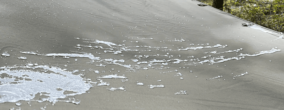 FUTURE FOX『FOX-BASE TC』のブログ・口コミ紹介